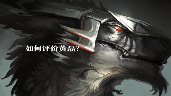 如何评价黄磊？