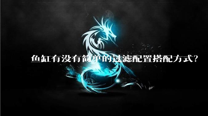 鱼缸有没有简单的过滤配置搭配方式？