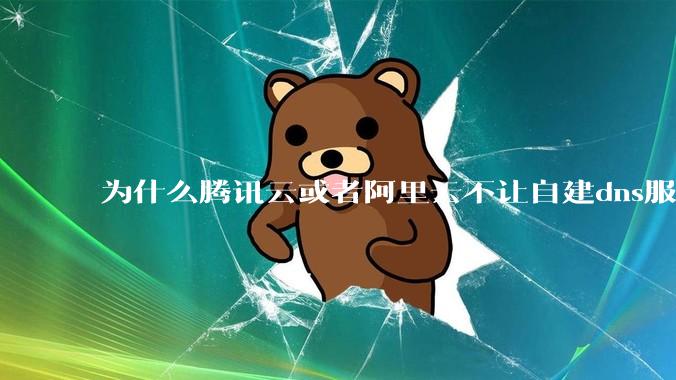 为什么腾讯云或者阿里云不让自建dns服务器?