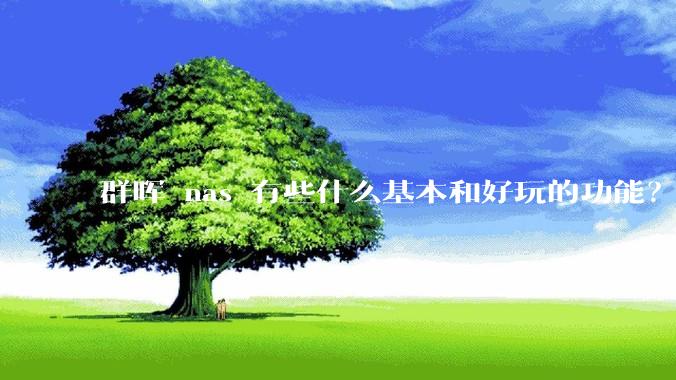 群晖 nas 有些什么基本和好玩的功能？