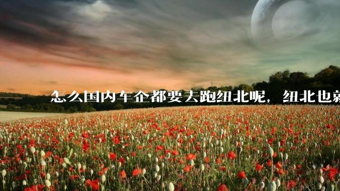 怎么国内车企都要去跑纽北呢，纽北也就是个普通赛道?