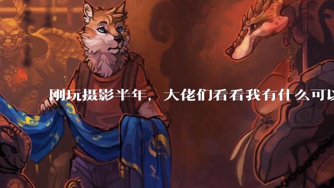 刚玩摄影半年，大佬们看看我有什么可以提升的地方吗?