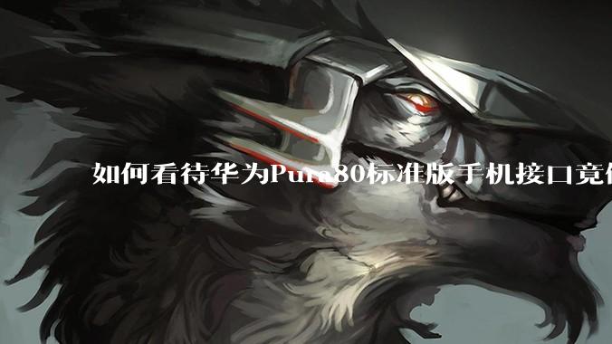 如何看待华为Pura80标准版手机接口竟倒退成USB 2.0？要是也烧了WIFI是不是不好备份数据？