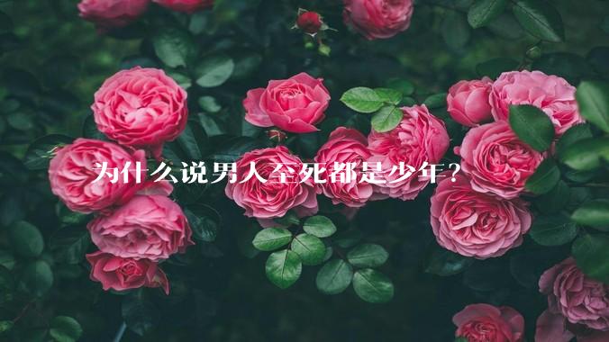 为什么说男人至死都是少年？