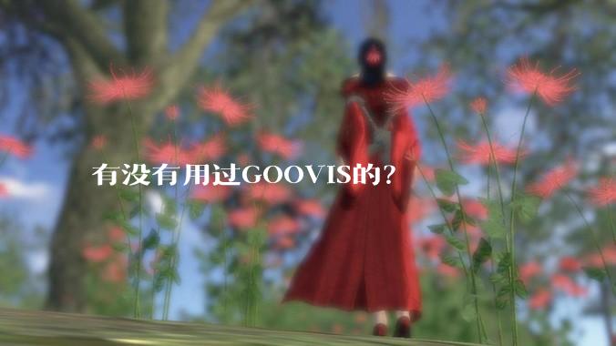 有没有用过GOOVIS的？