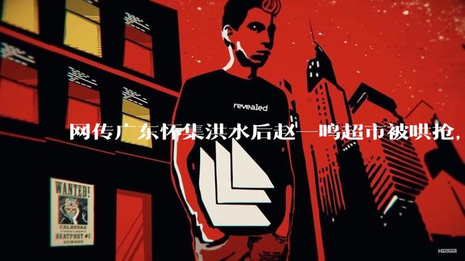 网传广东怀集洪水后赵一鸣超市被哄抢，县***回应相关单位正在核实，若属实哄抢者该承担哪些法律责任？
