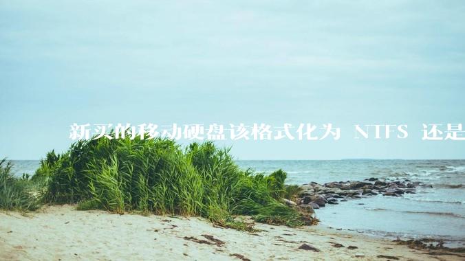 新买的移动硬盘该格式化为 NTFS 还是 exFAT？