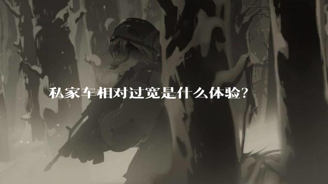 私家车相对过宽是什么体验？