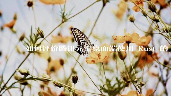 如何评价腾讯元宝桌面端使用 Rust 的 Tauri 框架？