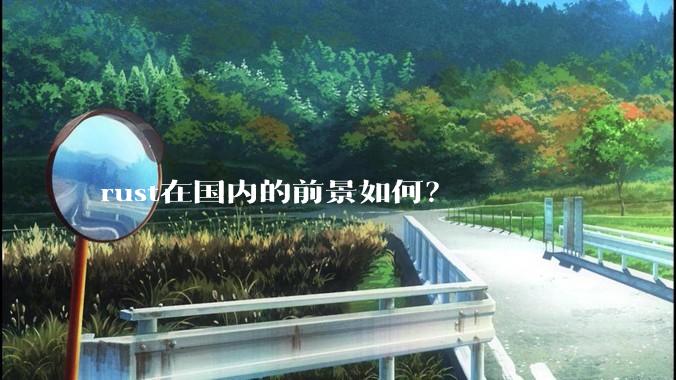 rust在国内的前景如何？