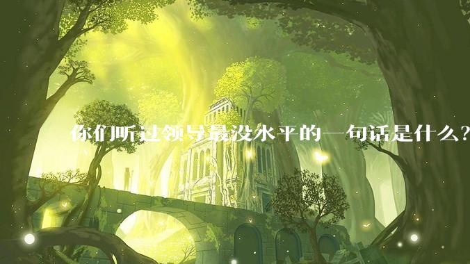 你们听过领导最没水平的一句话是什么？