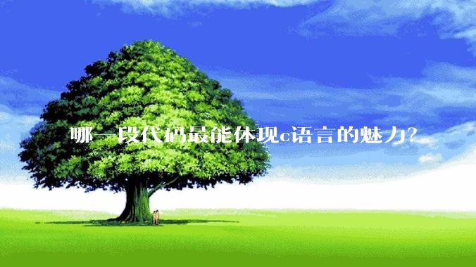 哪一段代码最能体现c语言的魅力？