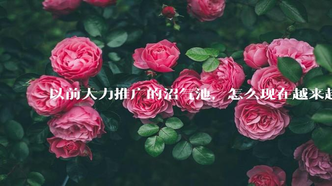 以前大力推广的沼气池，怎么现在越来越少了？