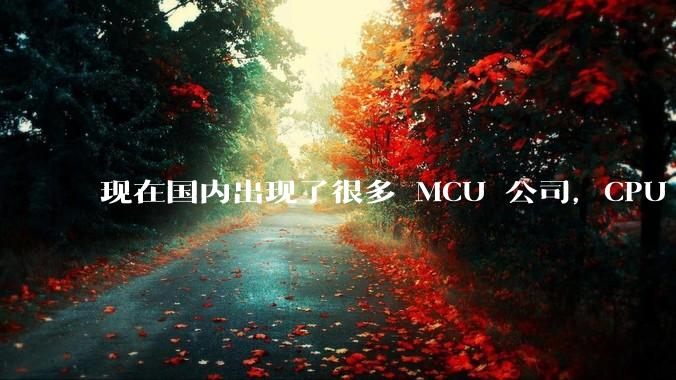 现在国内出现了很多 MCU 公司，CPU 使用的是 Cortex-M，但为何基本上都是模仿STM32?