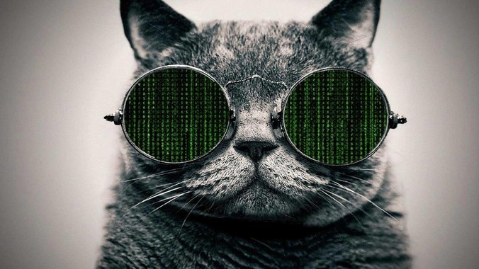 汉语是牺牲了什么，才成为世界最紧凑、最高效的语言？